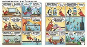Shrimpora Junior képregén y akvárium indítás