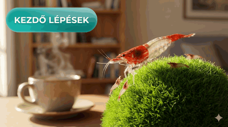 szaporodás kiemelt kép.