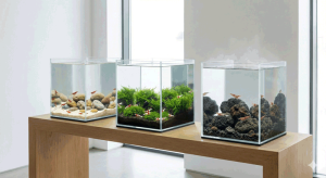 Garnéla fajok vízparaméterei